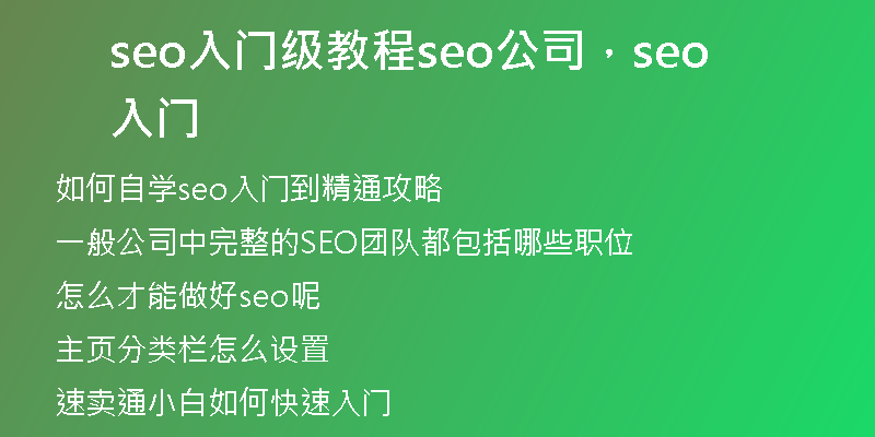 seo入門級教程seo公司，seo 入門