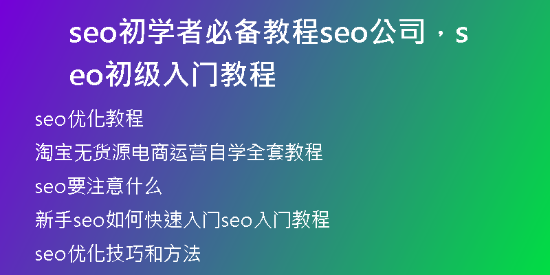 seo初學(xué)者必備教程seo公司，seo初級入門教程